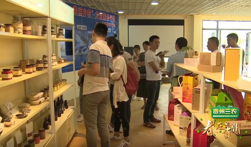 數說貴州 數字鄉村的貴州實踐，智慧生活織就智富夢